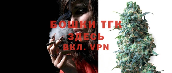 прущий лед Алексин