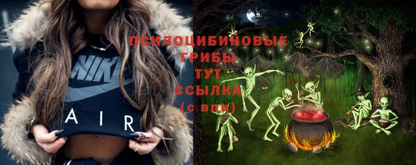 прущий лед Алексин