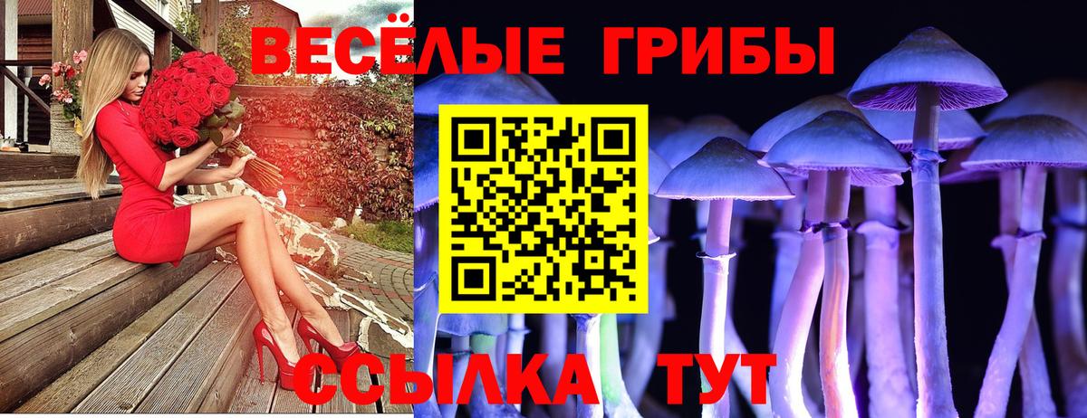 Псилоцибиновые грибы Cubensis  купить   Крымск  Вход с VPN  Псилоцибиновые грибы мухоморы 